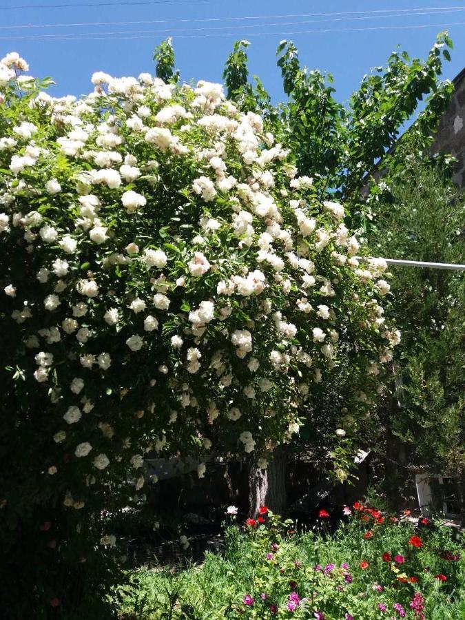 Апартаменты 100м2 в малом центре Еревана Екстер'єр фото